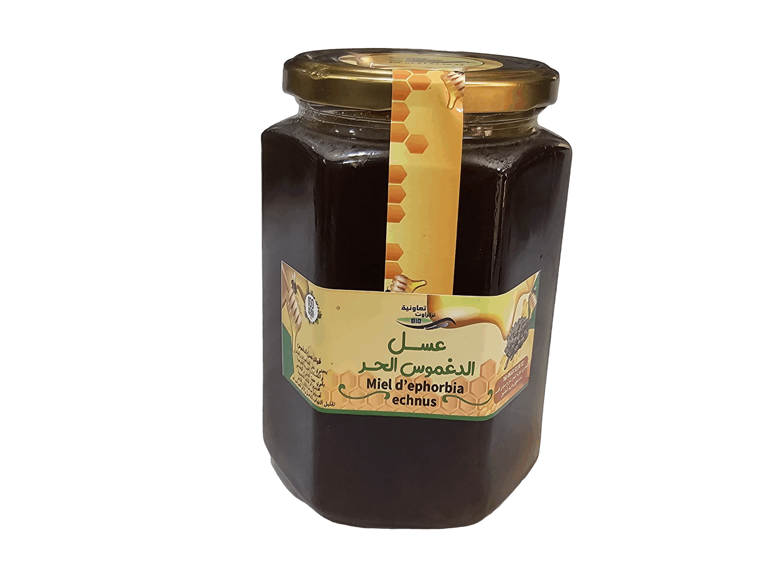 الدغموس